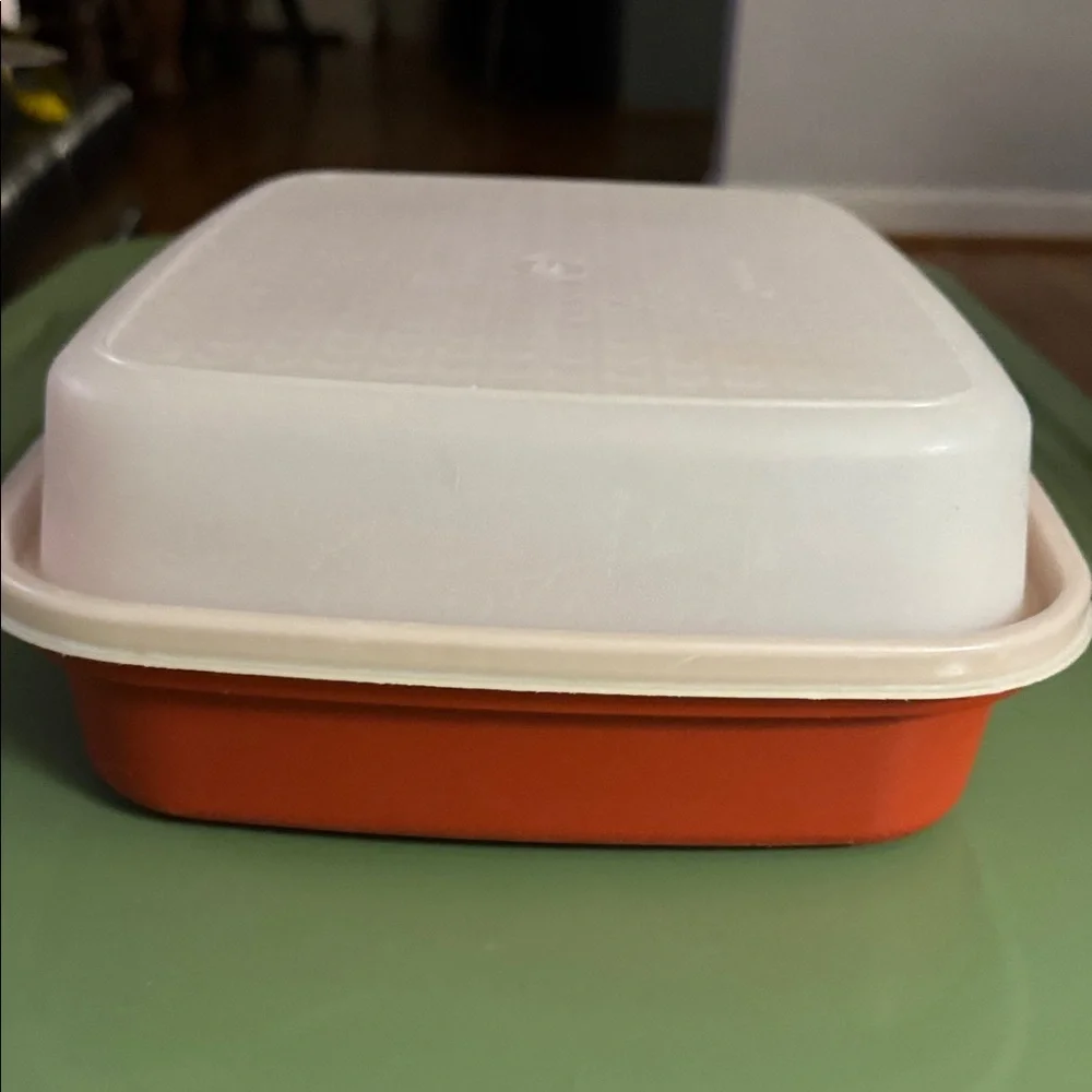 Vintage Tupperware Season Serve Marinade Container with Lid - Paprika